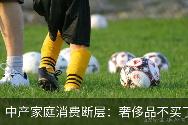中产家庭消费断层：奢侈品不买了，但菜钱一分没少，钱花在哪了？