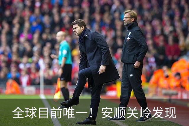 全球目前唯一！安顺关岭发现
