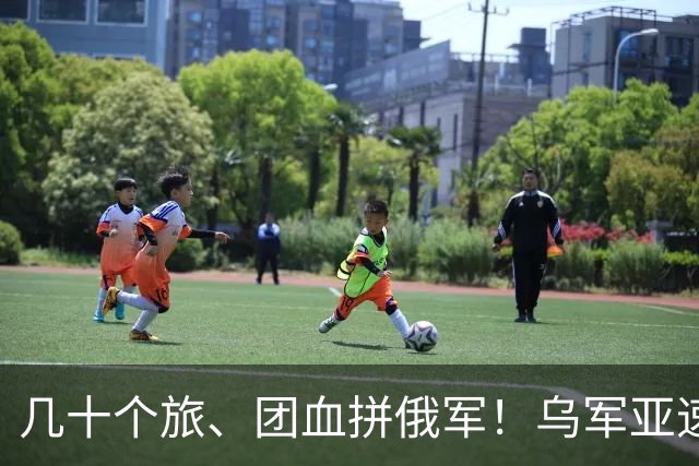几十个旅、团血拼俄军！乌军亚速集群，指挥多少战斗部队？