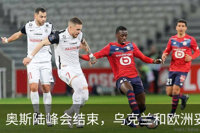奥斯陆峰会结束，乌克兰和欧洲妥协了？