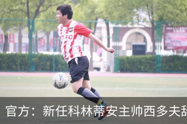 官方：新任科林蒂安主帅西多夫辞去荷兰足协职务