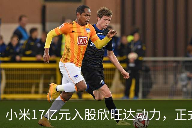 小米17亿元入股欣旺达动力，正式成为第三大股东