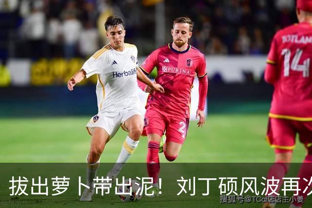 拔出萝卜带出泥！刘丁硕风波再次升级，竟意外将半个乒坛拉下水