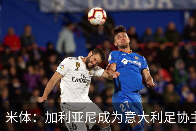 米体：加利亚尼成为意大利足协主席热门人选