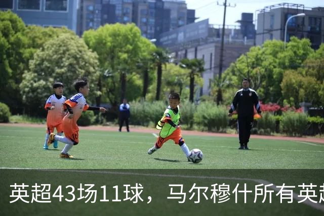 英超43场11球，马尔穆什所有英超进球都在主场打进