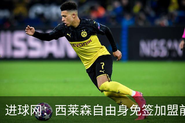 进球网：西莱森自由身免签加盟前进之鹰，顶替伤停门将