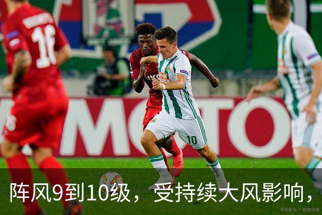 阵风9到10级，受持续大风影响，辽鲁客运全线停航