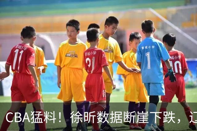 CBA猛料！徐昕数据断崖下跌，辽宁男篮又伤一人，山东男篮欲换外援